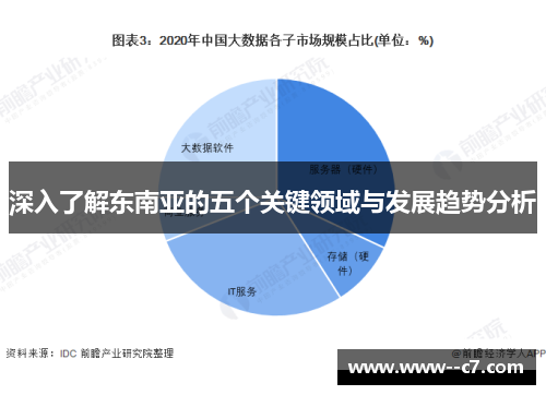 深入了解东南亚的五个关键领域与发展趋势分析