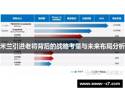 米兰引进老将背后的战略考量与未来布局分析