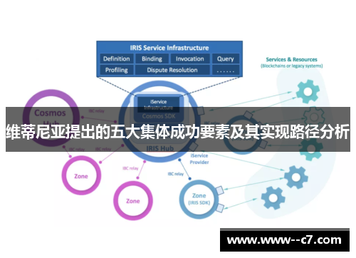 维蒂尼亚提出的五大集体成功要素及其实现路径分析