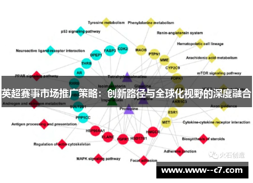 英超赛事市场推广策略：创新路径与全球化视野的深度融合