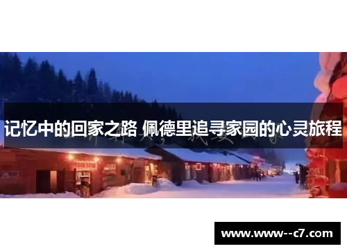 记忆中的回家之路 佩德里追寻家园的心灵旅程