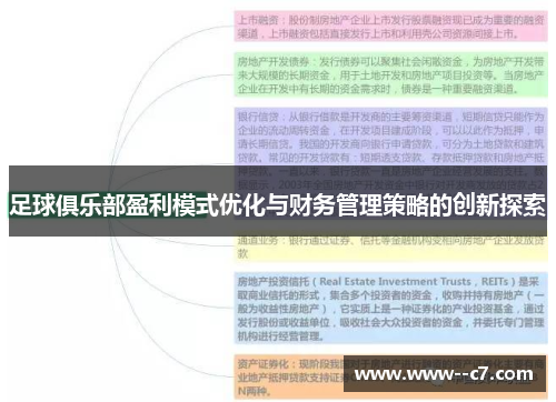 足球俱乐部盈利模式优化与财务管理策略的创新探索