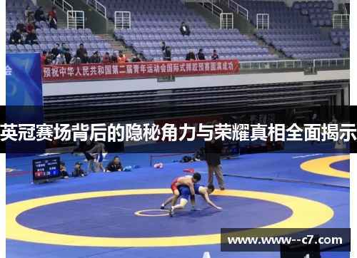 英冠赛场背后的隐秘角力与荣耀真相全面揭示