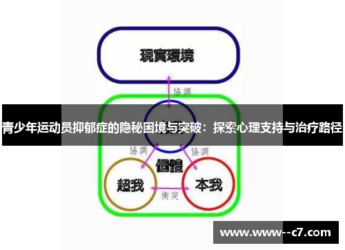 青少年运动员抑郁症的隐秘困境与突破:探索心理支持与治疗路径 青少年运动员抑郁症的隐秘困境与突破:探索心理支持与治疗路径