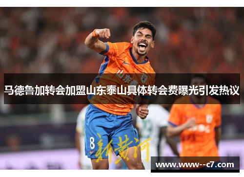 马德鲁加转会加盟山东泰山具体转会费曝光引发热议