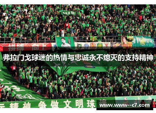 弗拉门戈球迷的热情与忠诚永不熄灭的支持精神