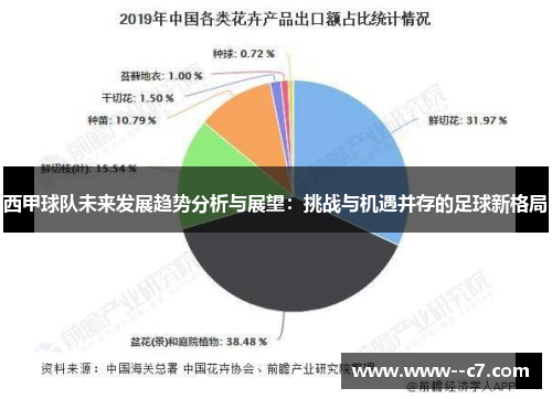 西甲球队未来发展趋势分析与展望:挑战与机遇并存的足球新格局 西甲球队未来发展趋势分析与展望:挑战与机遇并存的足球新格局