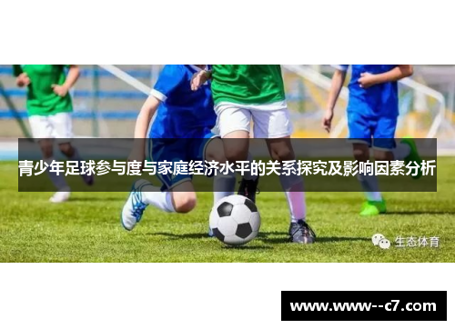 青少年足球参与度与家庭经济水平的关系探究及影响因素分析